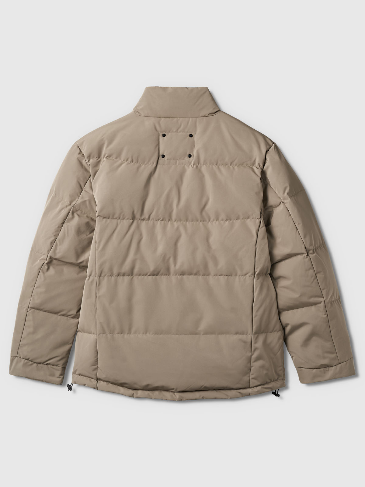 Gabba Rector Pop - Brindle