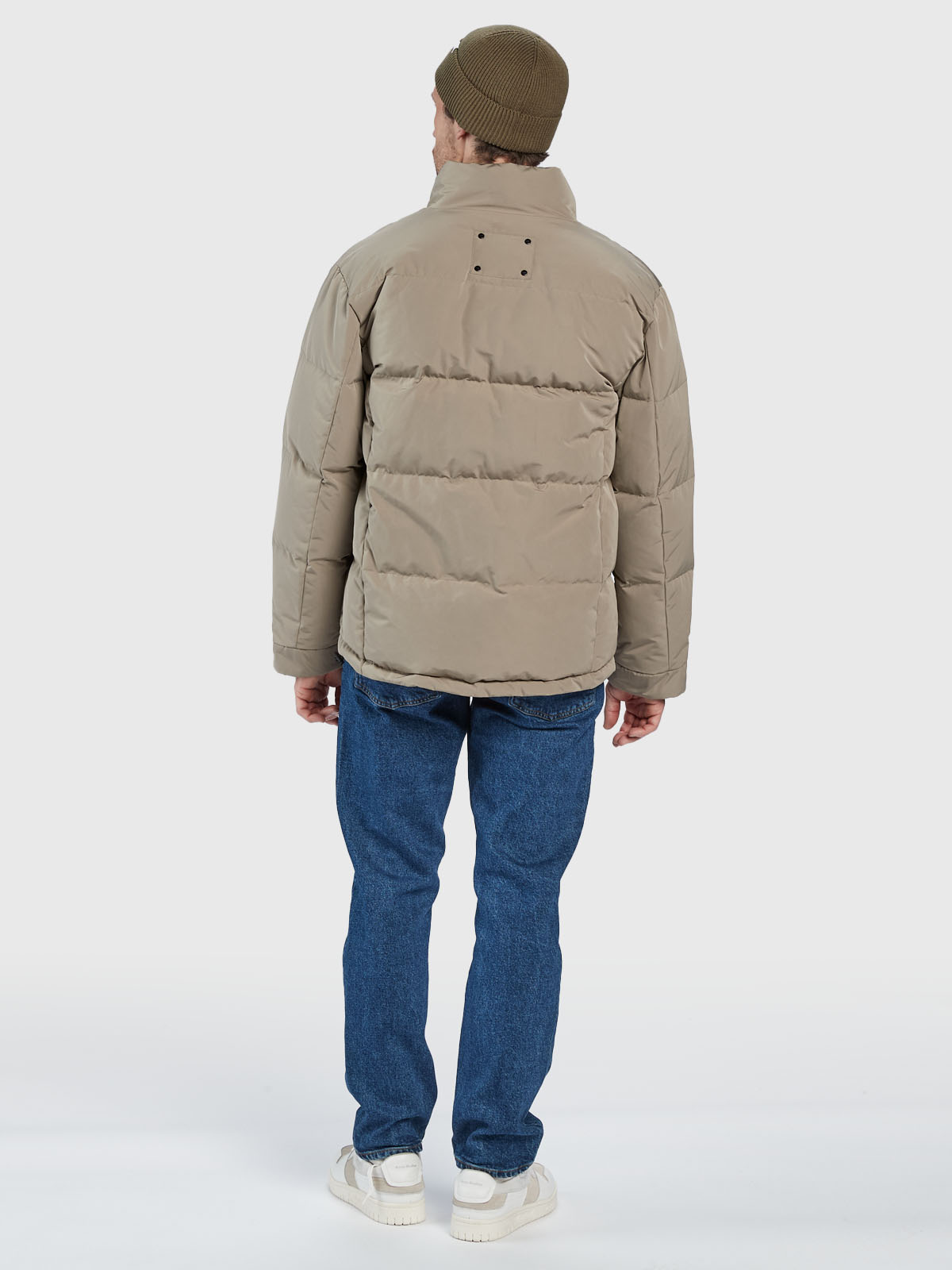 Gabba Rector Pop - Brindle