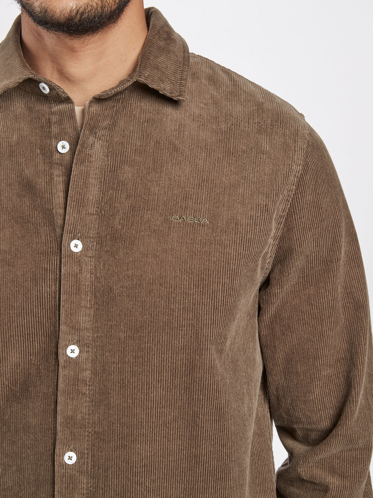 Gabba York Noi - Crocodile