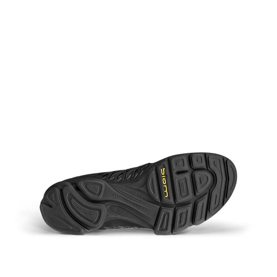 ECCO Biom AEX M GTX 802884-51094