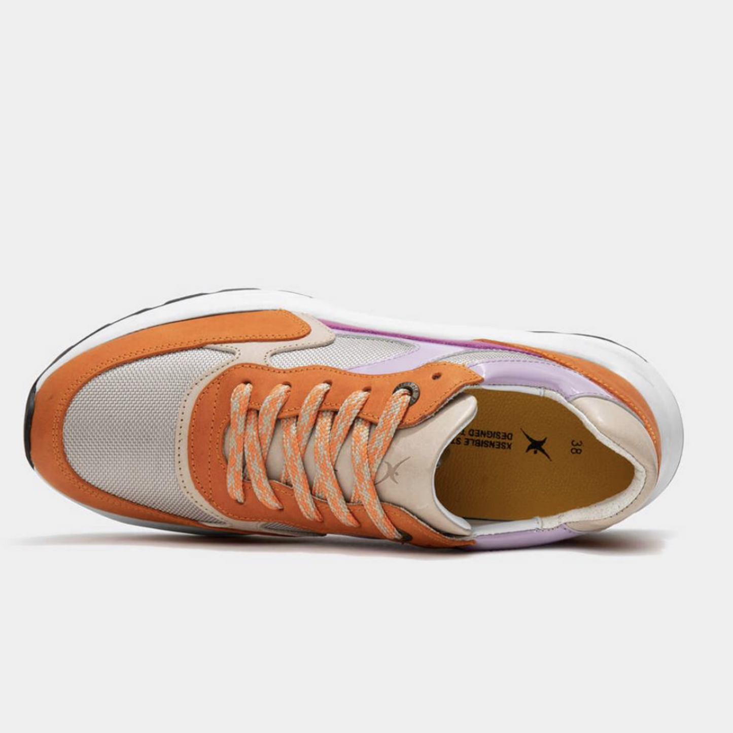 Xsensible 33002.5.185 G Ponte Vecchio