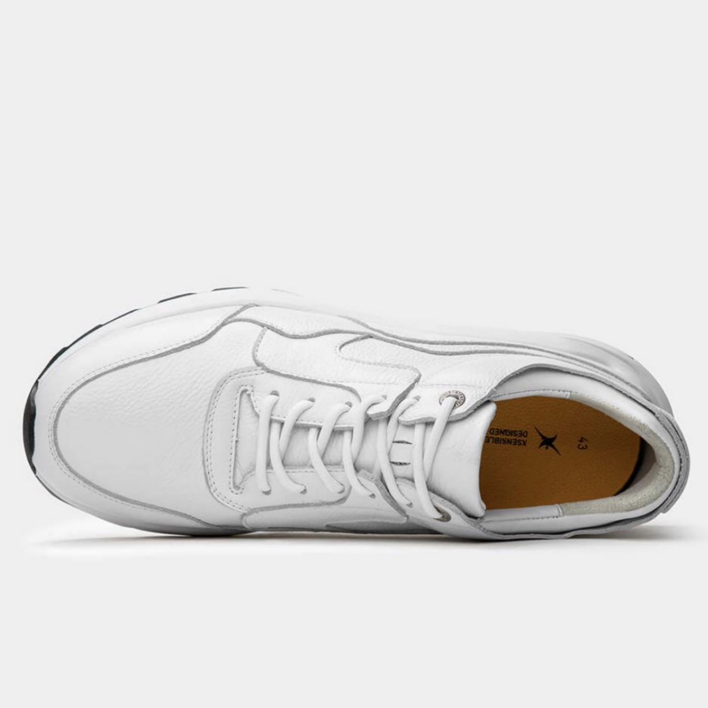 Xsensible 33200.5.101 Golden Gate