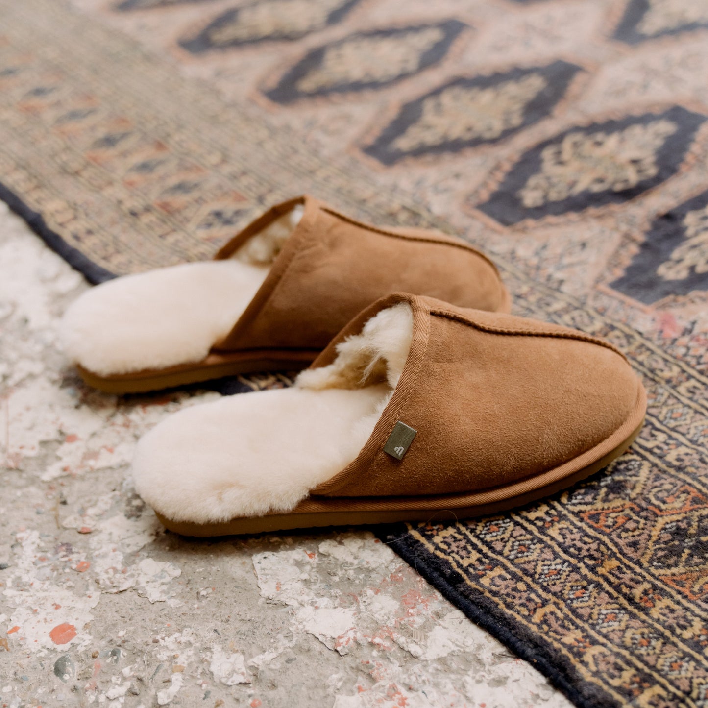 Bullboxer 258001F1L M CHES