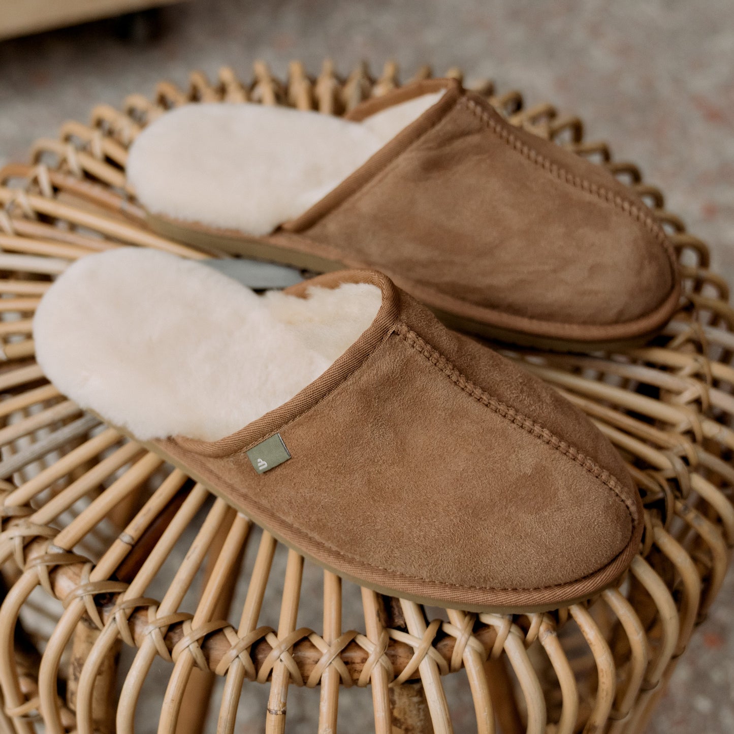 Bullboxer 258001F1L M CHES